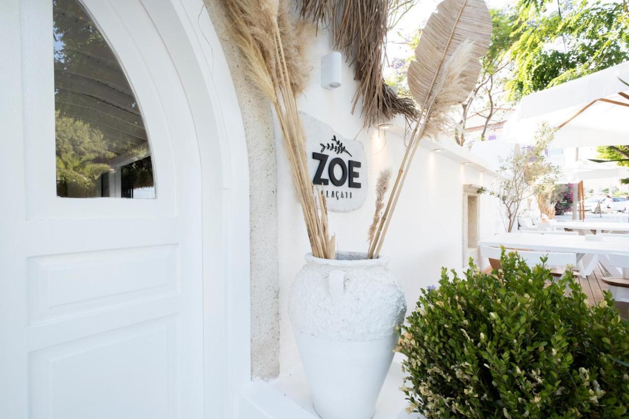 Zoe 阿拉恰特 外观 照片